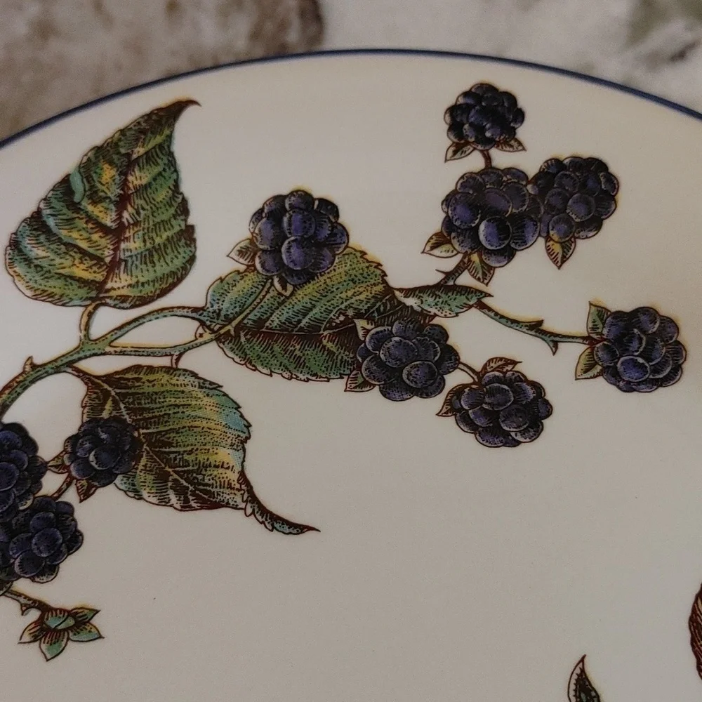 4 Pier 1 MACINTOSH Salad Plates